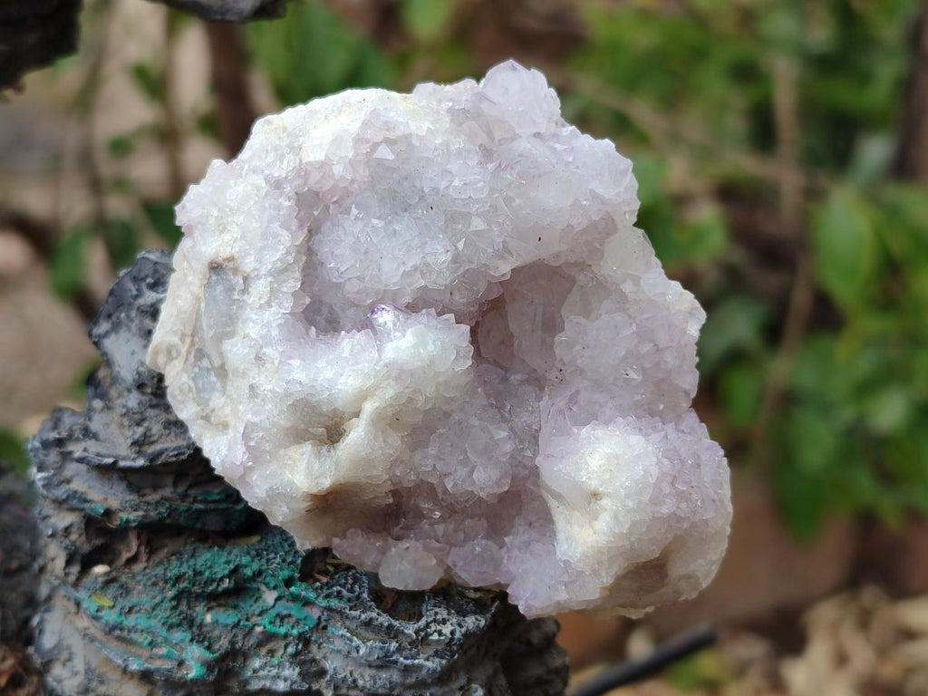 Natural Pale Lilac Spirit Amethyst Drusy Clusters x 12 From Boekenhouthoek, South Africa - Toprock Gemstones and Minerals 
