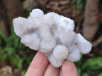 Natural Pale Lilac Spirit Amethyst Drusy Clusters x 12 From Boekenhouthoek, South Africa - Toprock Gemstones and Minerals 
