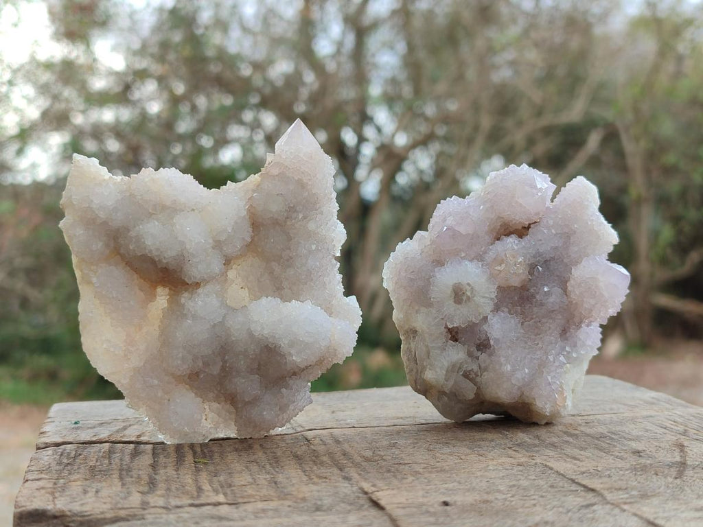 Natural Pale Lilac Spirit Amethyst Drusy Clusters x 12 From Boekenhouthoek, South Africa - Toprock Gemstones and Minerals 