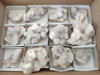 Natural Pale Lilac Spirit Amethyst Drusy Clusters x 12 From Boekenhouthoek, South Africa - Toprock Gemstones and Minerals 