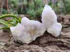 Natural Pale Lilac Spirit Amethyst Drusy Clusters x 12 From Boekenhouthoek, South Africa - Toprock Gemstones and Minerals 
