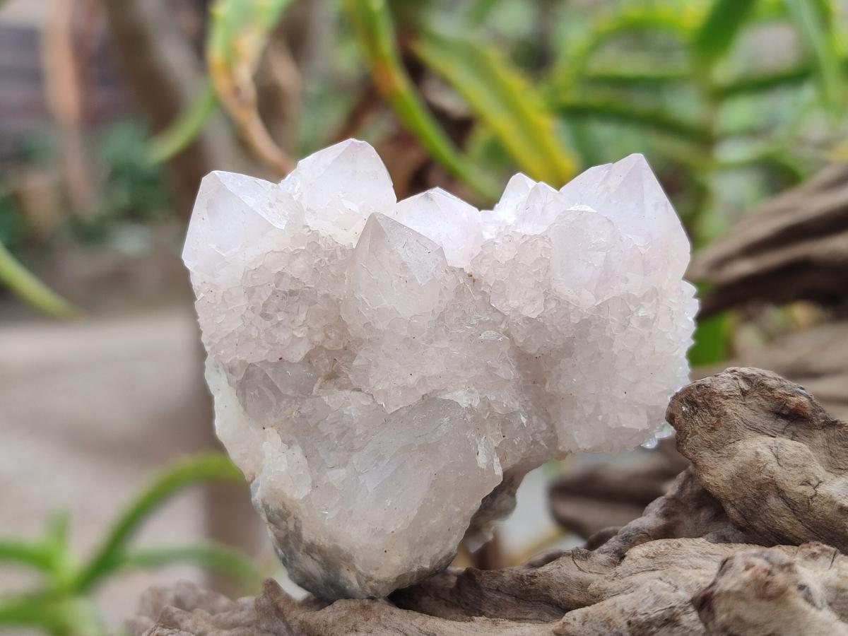 Natural Pale Lilac Spirit Amethyst Drusy Clusters x 12 From Boekenhouthoek, South Africa - Toprock Gemstones and Minerals 