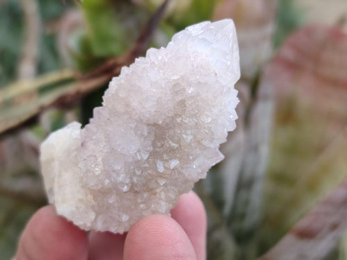 Natural Pale Lilac Spirit Amethyst Drusy Clusters x 12 From Boekenhouthoek, South Africa - Toprock Gemstones and Minerals 