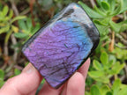 Polished Small Spectrolite Labradorite Standing Display Pieces x 15 From Madagascar - Toprock Gemstones and Minerals 