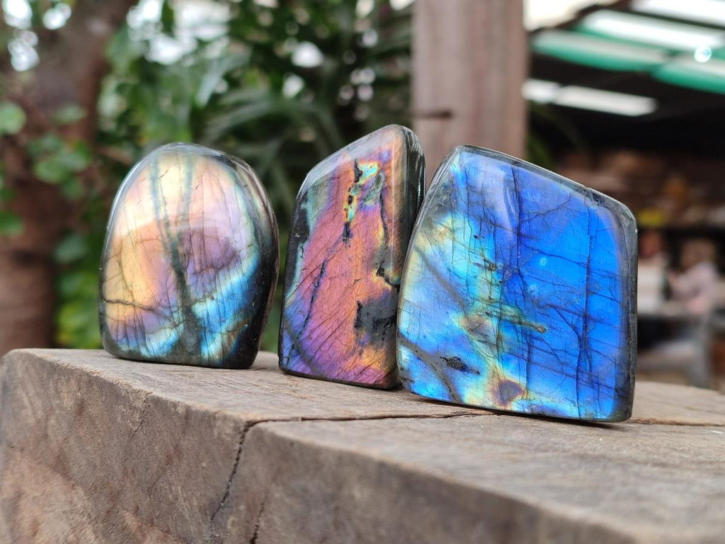 Polished Small Spectrolite Labradorite Standing Display Pieces x 15 From Madagascar - Toprock Gemstones and Minerals 