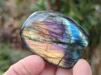 Polished Small Spectrolite Labradorite Standing Display Pieces x 15 From Madagascar - Toprock Gemstones and Minerals 