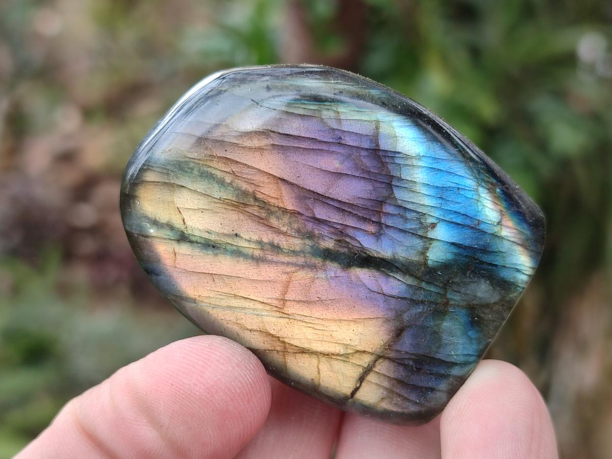 Polished Small Spectrolite Labradorite Standing Display Pieces x 15 From Madagascar - Toprock Gemstones and Minerals 
