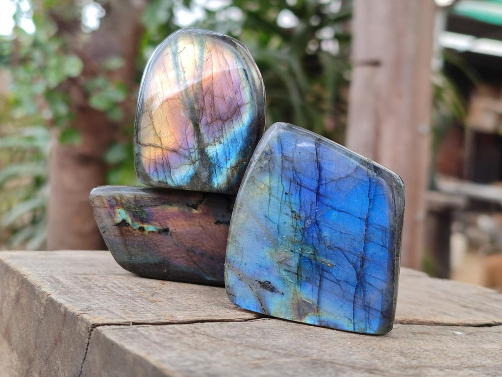 Polished Small Spectrolite Labradorite Standing Display Pieces x 15 From Madagascar - Toprock Gemstones and Minerals 