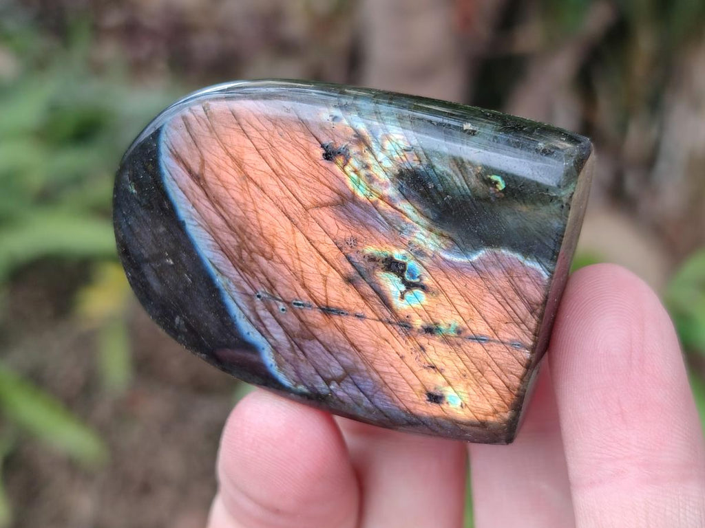 Polished Small Spectrolite Labradorite Standing Display Pieces x 15 From Madagascar - Toprock Gemstones and Minerals 