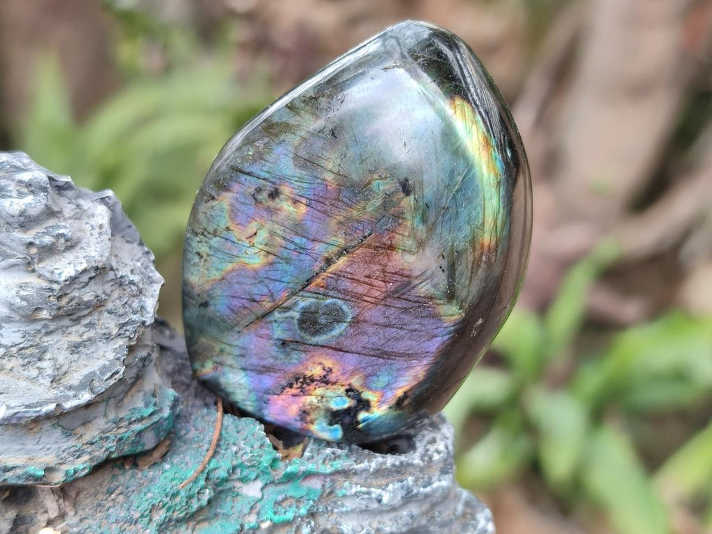 Polished Small Spectrolite Labradorite Standing Display Pieces x 15 From Madagascar - Toprock Gemstones and Minerals 