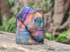 Polished Small Spectrolite Labradorite Standing Display Pieces x 15 From Madagascar - Toprock Gemstones and Minerals 