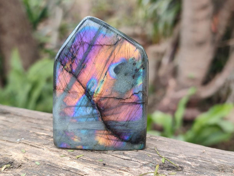 Polished Small Spectrolite Labradorite Standing Display Pieces x 15 From Madagascar - Toprock Gemstones and Minerals 