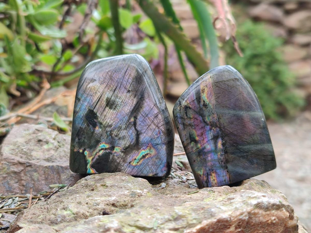 Polished Small Spectrolite Labradorite Standing Display Pieces x 15 From Madagascar - Toprock Gemstones and Minerals 