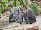 Polished Small Spectrolite Labradorite Standing Display Pieces x 15 From Madagascar - Toprock Gemstones and Minerals 