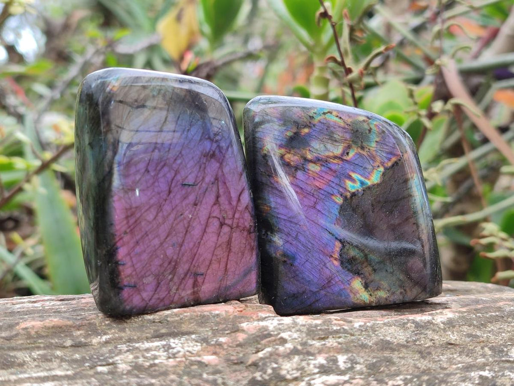 Polished Small Spectrolite Labradorite Standing Display Pieces x 15 From Madagascar - Toprock Gemstones and Minerals 
