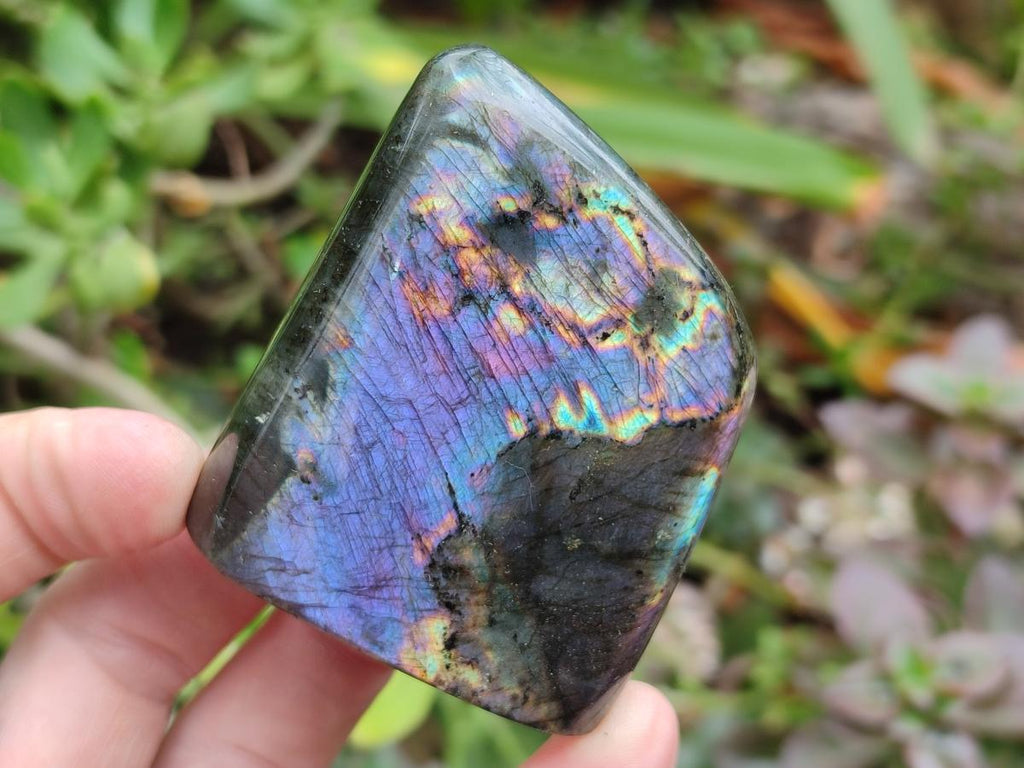 Polished Small Spectrolite Labradorite Standing Display Pieces x 15 From Madagascar - Toprock Gemstones and Minerals 