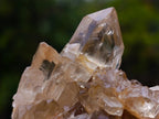 Natural Cascading Clear Citrine Quartz Crystals x 35 From Luena, Congo