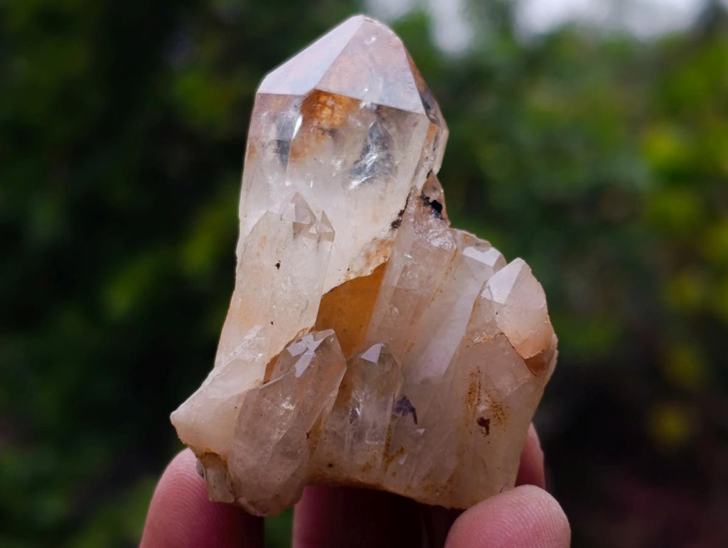 Natural Cascading Clear Citrine Quartz Crystals x 35 From Luena, Congo