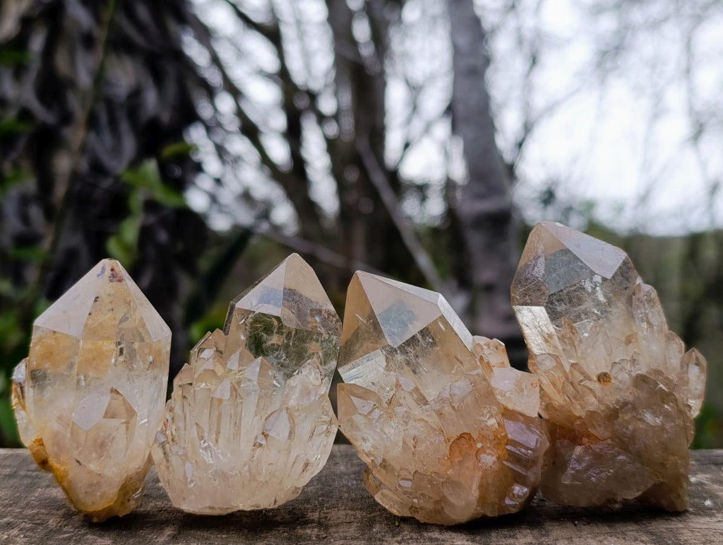 Natural Cascading Clear Citrine Quartz Crystals x 35 From Luena, Congo