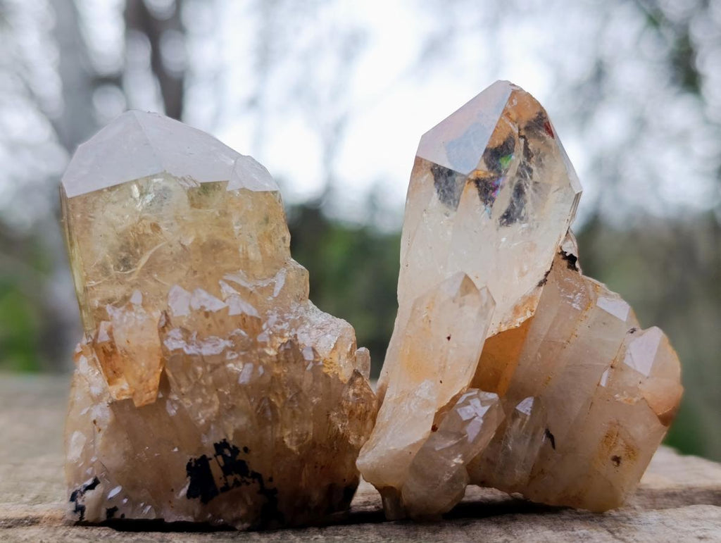 Natural Cascading Clear Citrine Quartz Crystals x 35 From Luena, Congo