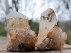 Natural Cascading Clear Citrine Quartz Crystals x 35 From Luena, Congo