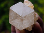 Natural Cascading Clear Citrine Quartz Crystals x 35 From Luena, Congo