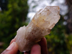 Natural Cascading Clear Citrine Quartz Crystals x 35 From Luena, Congo