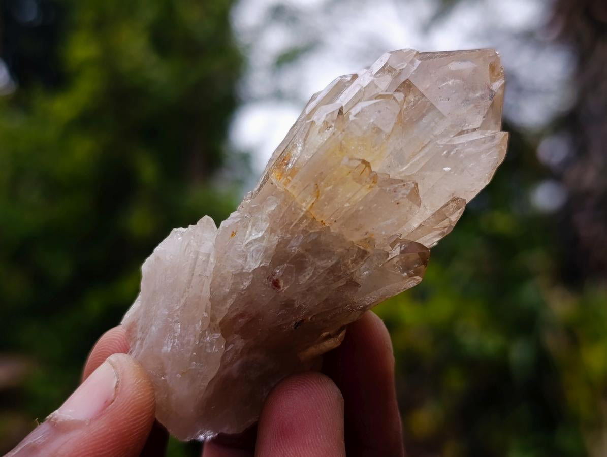Natural Cascading Clear Citrine Quartz Crystals x 35 From Luena, Congo