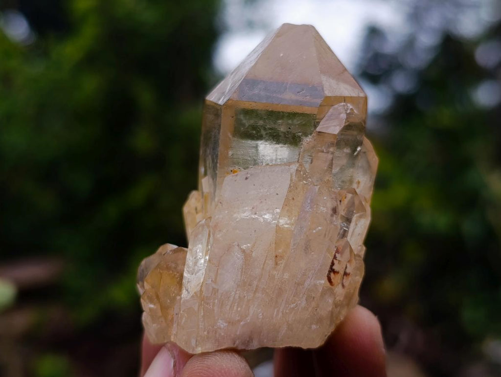 Natural Cascading Clear Citrine Quartz Crystals x 35 From Luena, Congo