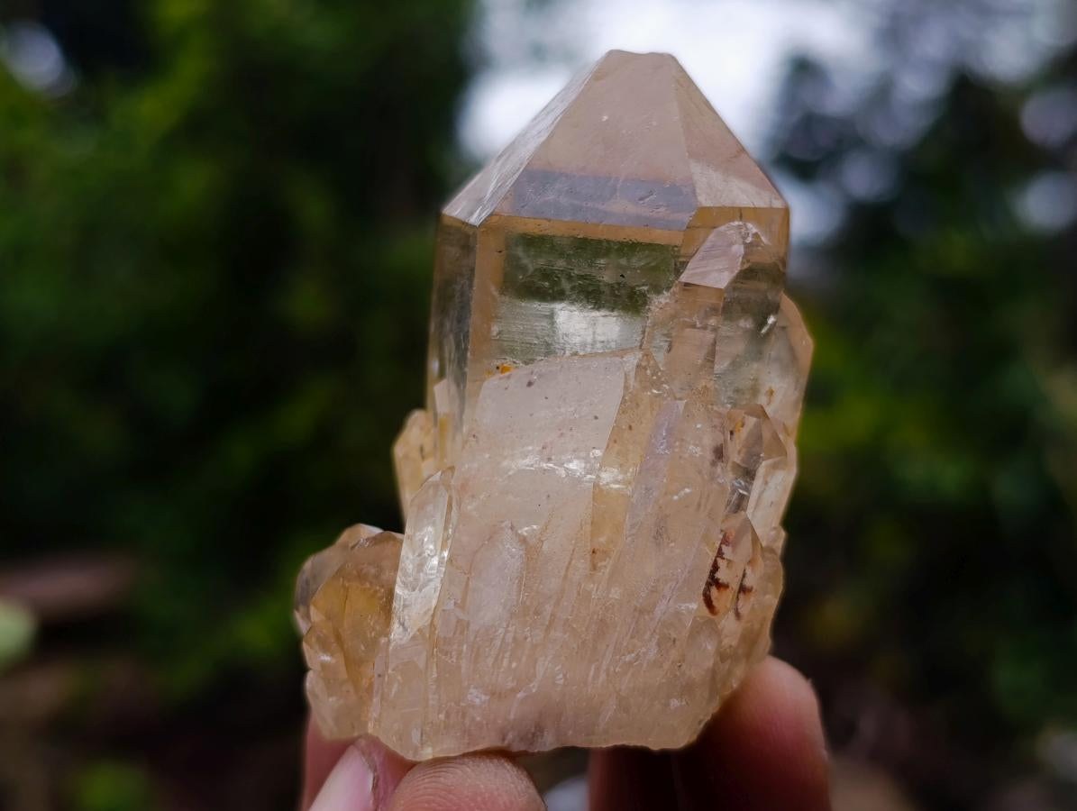 Natural Cascading Clear Citrine Quartz Crystals x 35 From Luena, Congo