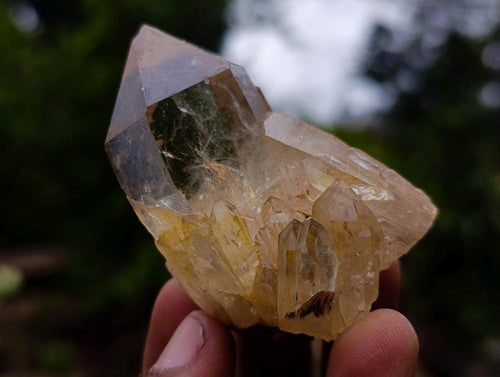 Natural Cascading Clear Citrine Quartz Crystals x 35 From Luena, Congo