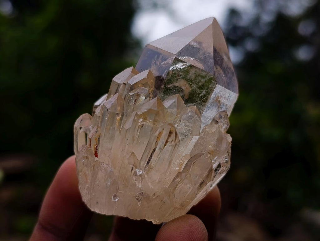Natural Cascading Clear Citrine Quartz Crystals x 35 From Luena, Congo