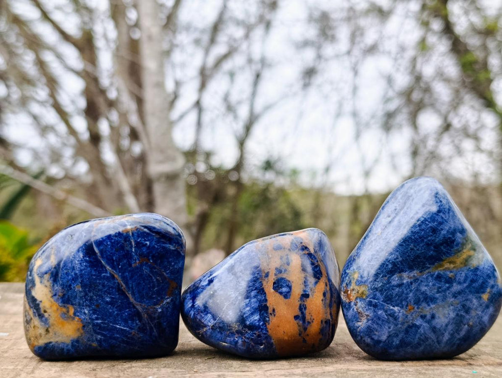 Polished Sodalite Free Forms x 12 From Kunene River, Namibia