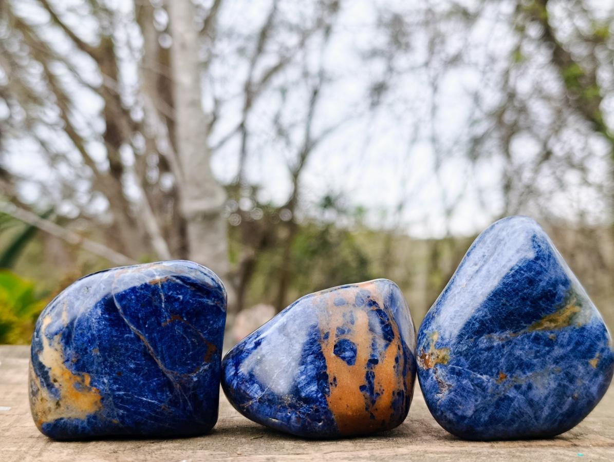 Polished Sodalite Free Forms x 12 From Kunene River, Namibia