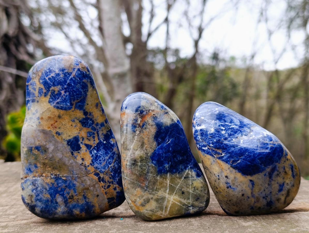 Polished Sodalite Free Forms x 12 From Kunene River, Namibia