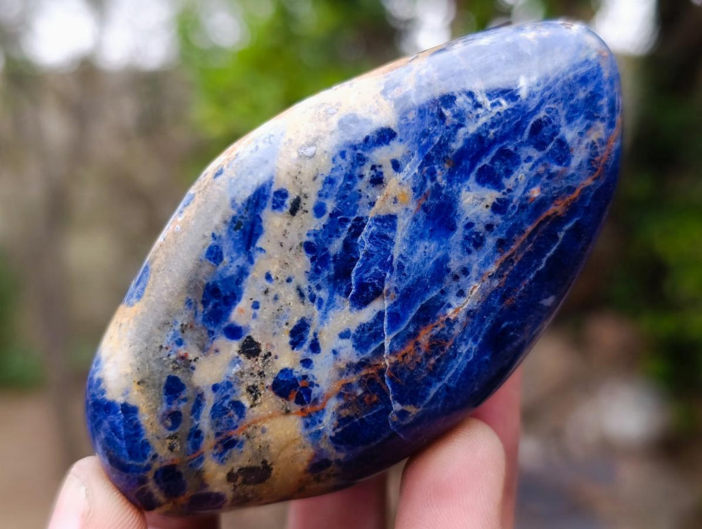 Polished Sodalite Free Forms x 12 From Kunene River, Namibia