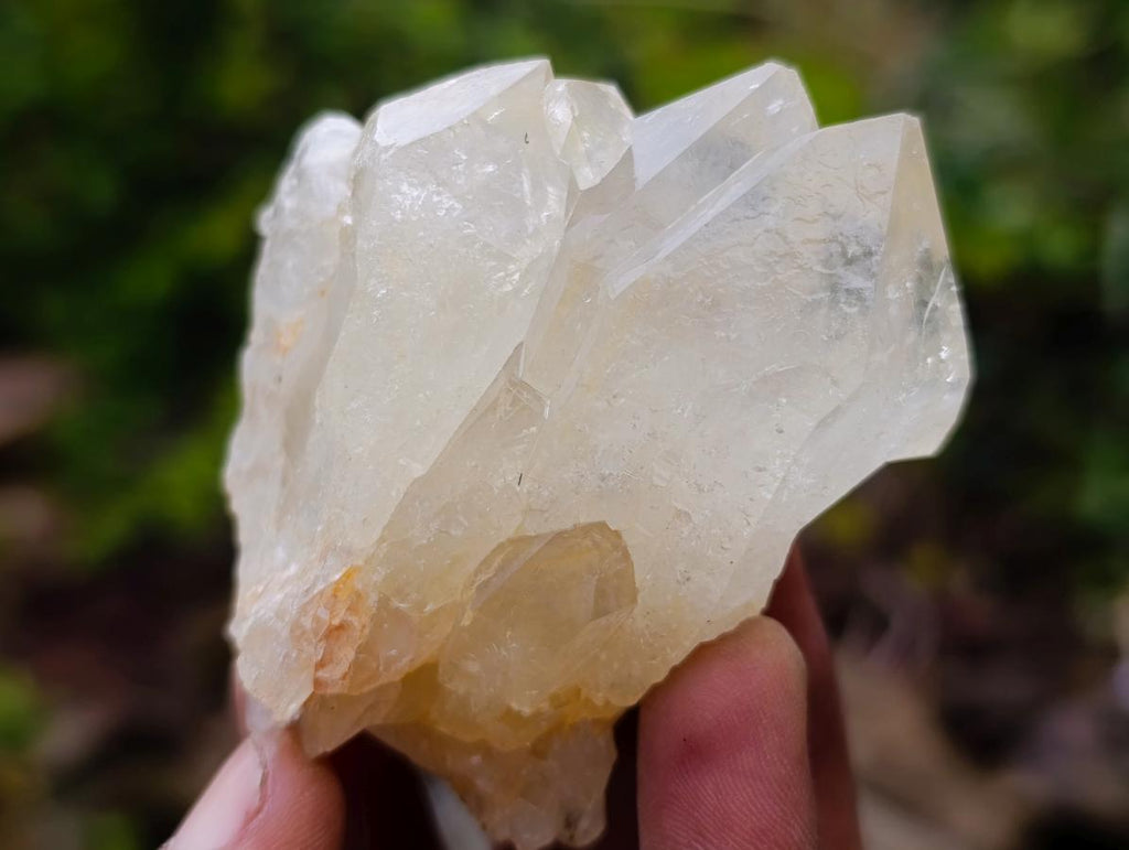 Natural Golden Limonite Quartz Clusters x 24 From Solwezi, Zambia