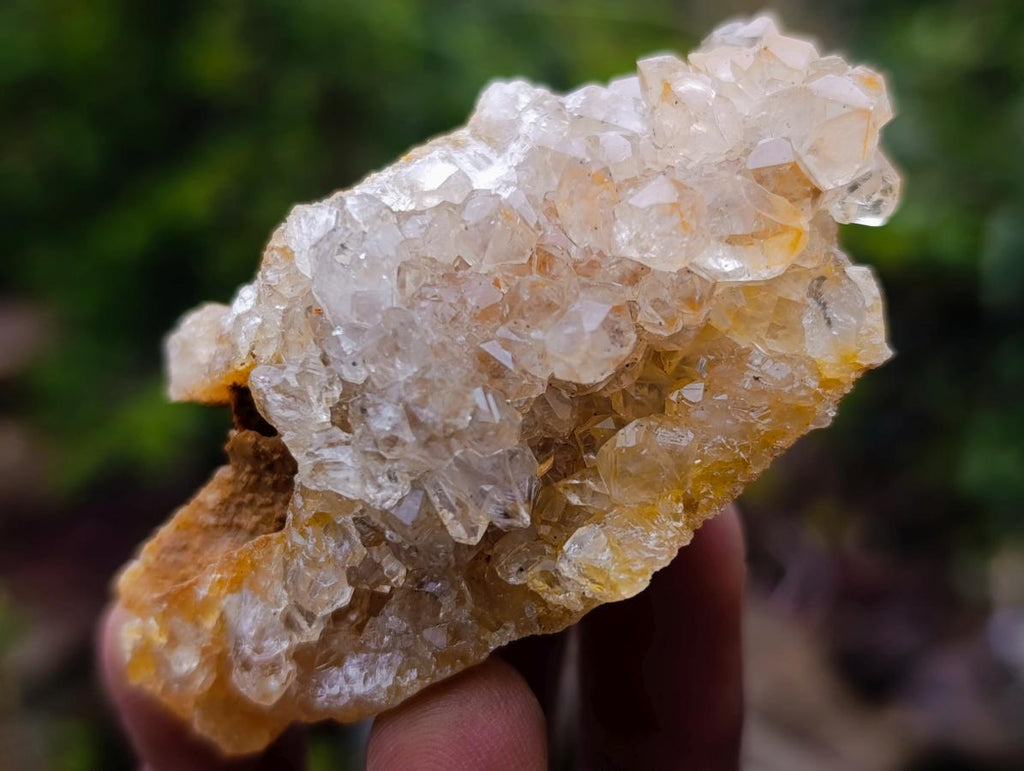 Natural Golden Limonite Quartz Clusters x 24 From Solwezi, Zambia