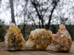 Natural Golden Limonite Quartz Clusters x 24 From Solwezi, Zambia