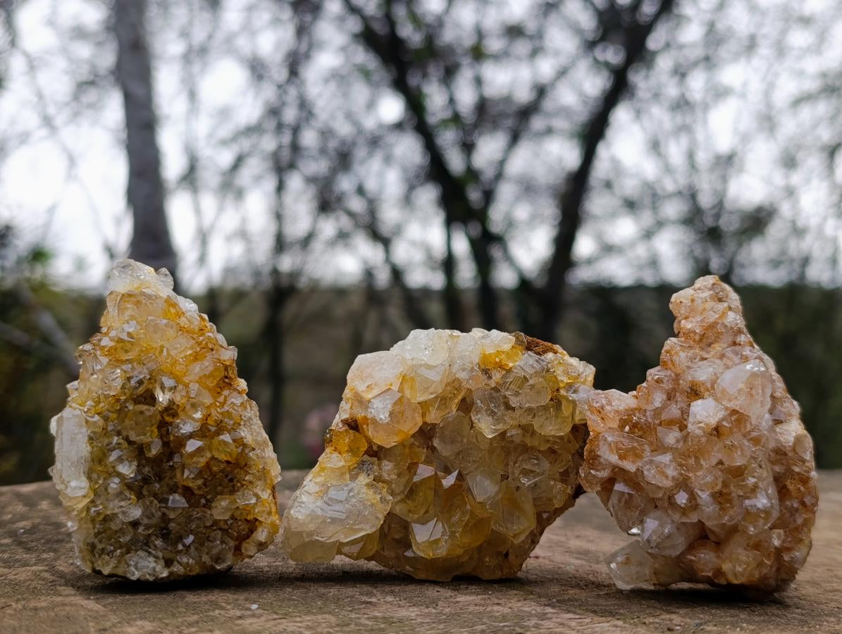 Natural Golden Limonite Quartz Clusters x 24 From Solwezi, Zambia