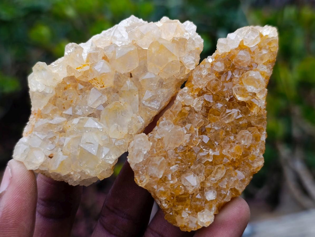 Natural Golden Limonite Quartz Clusters x 24 From Solwezi, Zambia