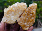 Natural Golden Limonite Quartz Clusters x 24 From Solwezi, Zambia