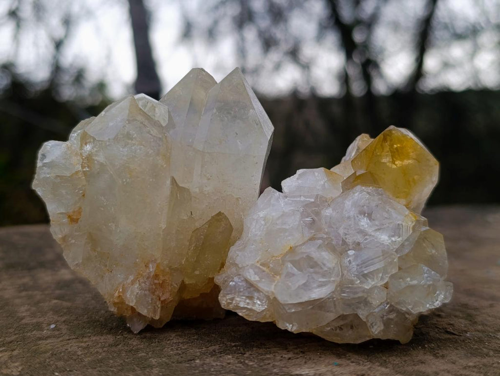 Natural Golden Limonite Quartz Clusters x 24 From Solwezi, Zambia