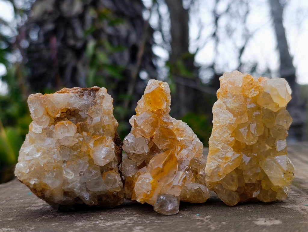 Natural Golden Limonite Quartz Clusters x 24 From Solwezi, Zambia