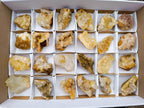 Natural Golden Limonite Quartz Clusters x 24 From Solwezi, Zambia