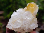 Natural Golden Limonite Quartz Clusters x 24 From Solwezi, Zambia