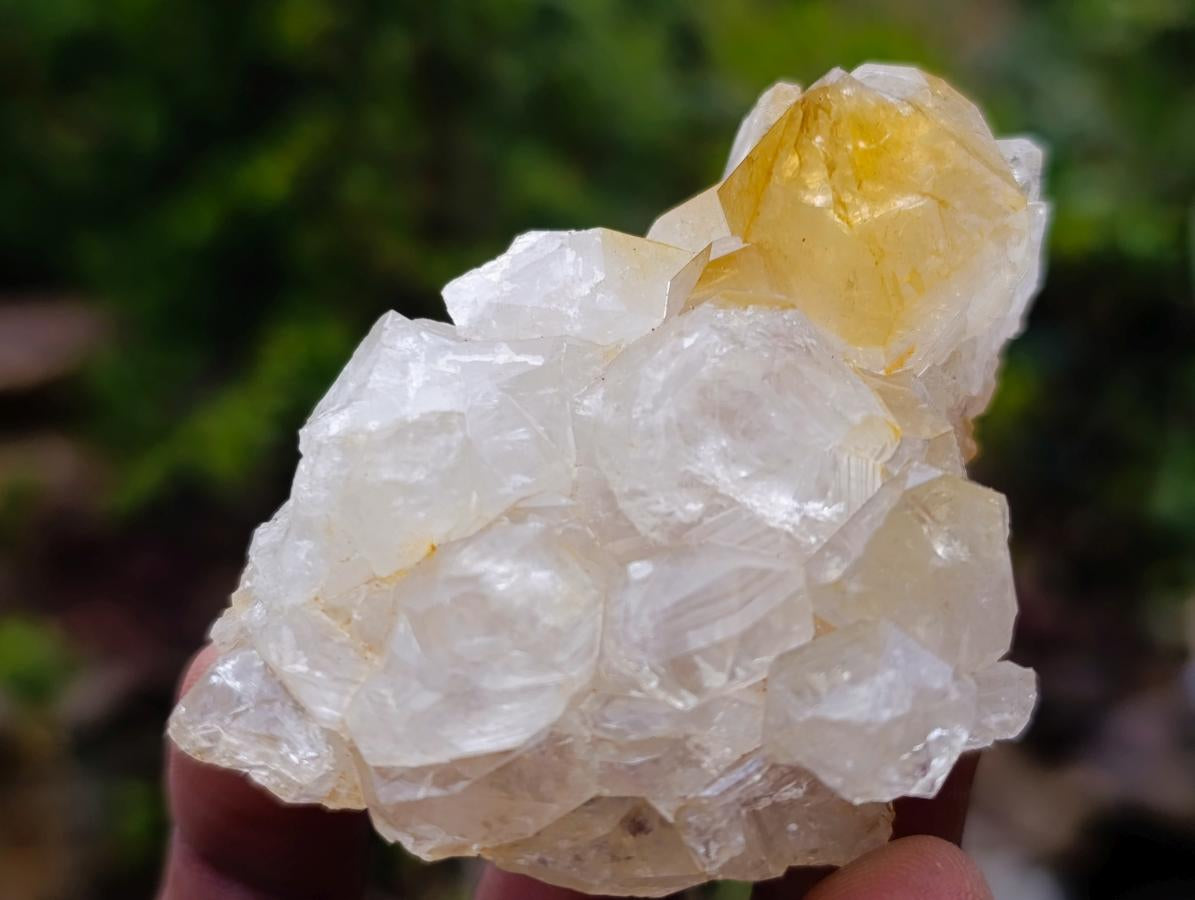Natural Golden Limonite Quartz Clusters x 24 From Solwezi, Zambia