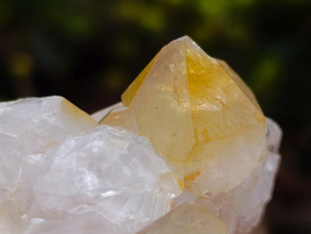 Natural Golden Limonite Quartz Clusters x 24 From Solwezi, Zambia