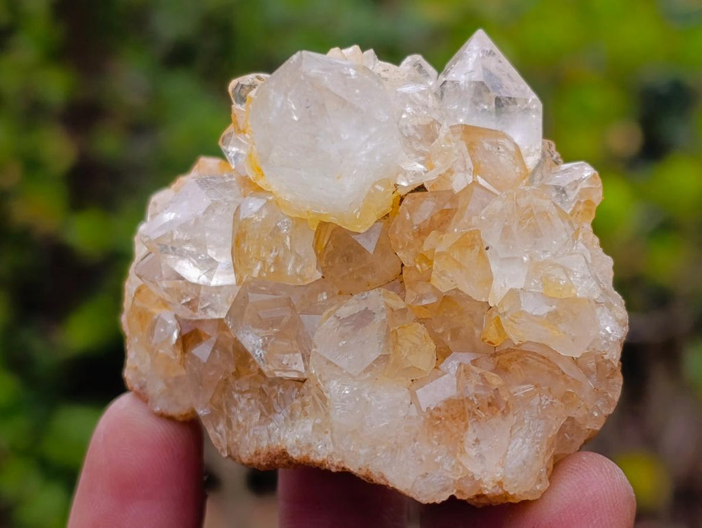 Natural Golden Limonite Quartz Clusters x 24 From Solwezi, Zambia