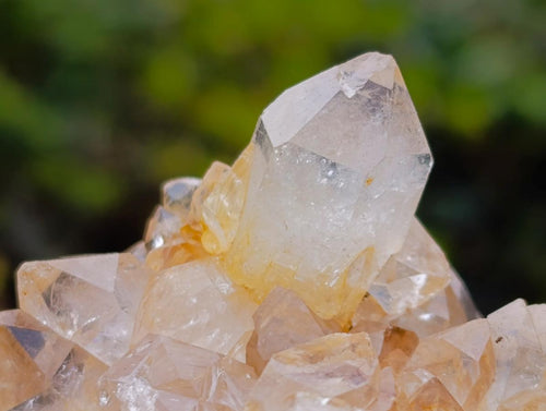 Natural Golden Limonite Quartz Clusters x 24 From Solwezi, Zambia